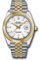 Rolex Datejust 41 Steel and Yellow Gold - Smooth Bezel - Jubilee Style No: 126303 wij